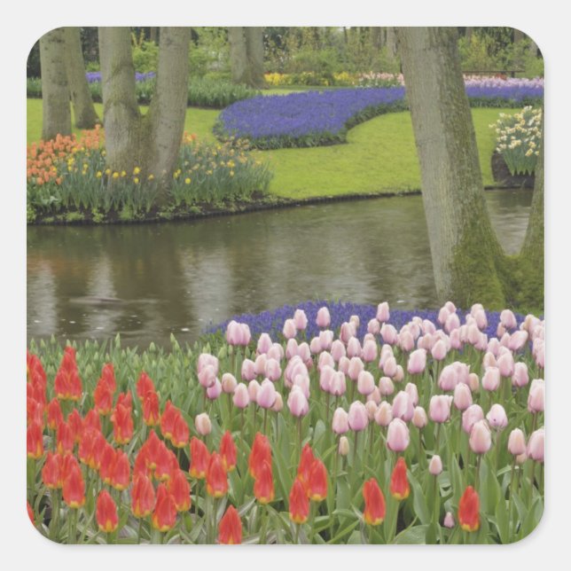 Pattern of tulips and grape hyacinth flowers, square sticker (Front)