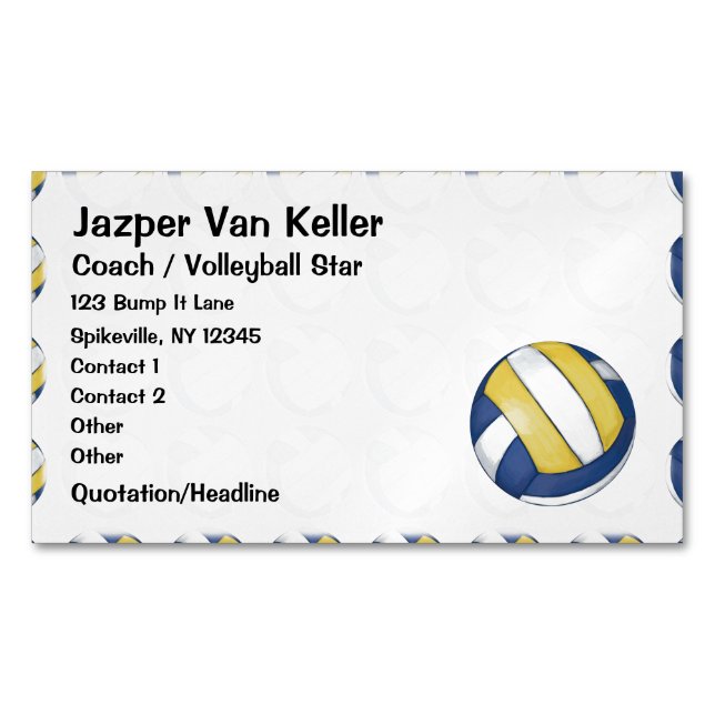 Pattern with Painted Volleyball Magnetic Business Card (Front)