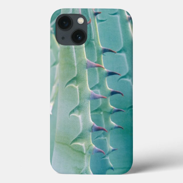 Patterns of an Agave plant Case-Mate iPhone Case (Back)