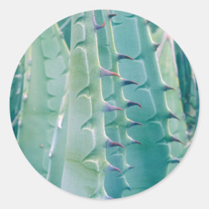 Patterns of an Agave plant Classic Round Sticker
