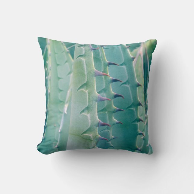 Patterns of an Agave plant Cushion (Front)