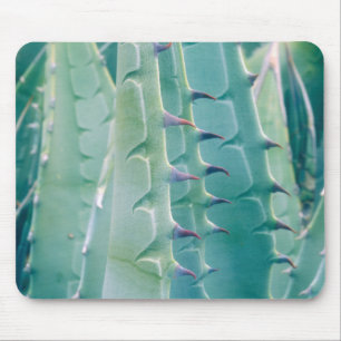 Patterns of an Agave plant Mouse Pad