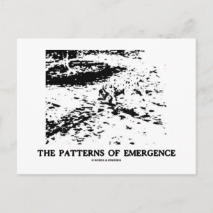 Patterns Of Emergence (Dalmatian Optical Illusion) Postcard