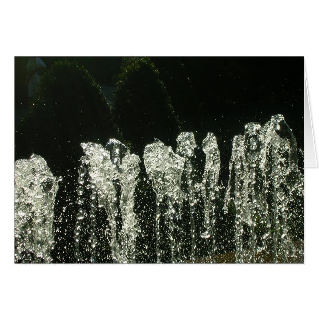 Patterns of Nature (Front Horizontal)