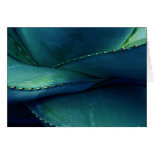 Patterns of Nature