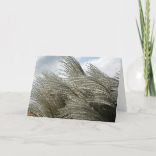 Patterns of Nature Card