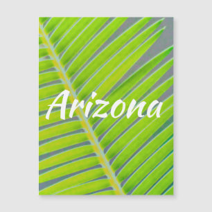 Patterns of Palms, Arizona