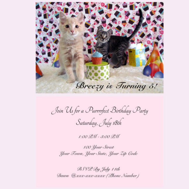 Patton and Buffington (cat/ kitten) Birthday Invitation (Creator Uploaded)