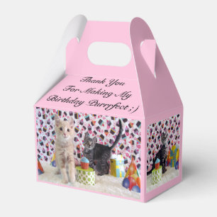 Patton and Buffington (cat / Kitten) - Favour Box