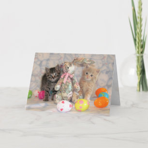 Patton & Buffington's Easter Bunny - Cat / Kitten Holiday Card