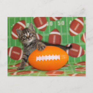 Patton Plays Football - Cat Postcard