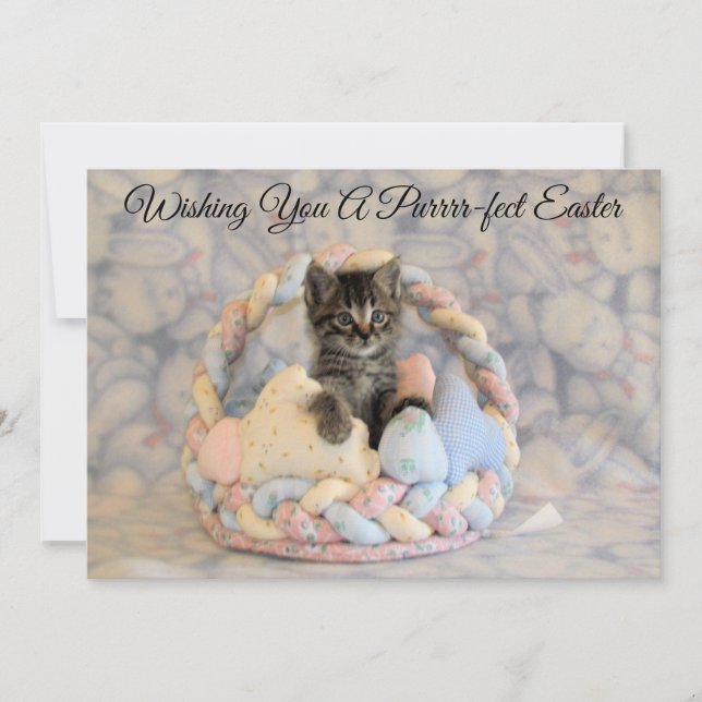 Patton's Easter Basket - Cat/ Kitten  - Flat Card (Front)