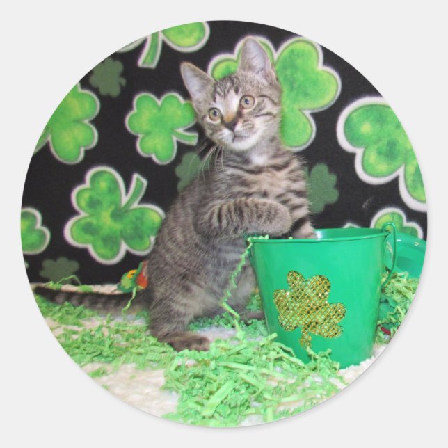 Patton's St. Patrick's Day Cat / Kitten Stickers (Front)