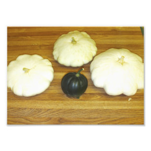 Patty Pan Squash And Acorn Squash Photo Print