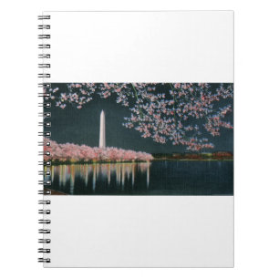 PAU42 Washington at Night.tif Notebook