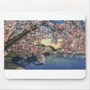 PAU43 Tidal Basin.tif Mouse Pad