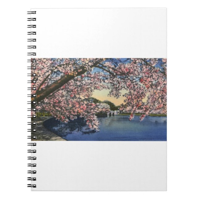 PAU43 Tidal Basin.tif Notebook (Front)