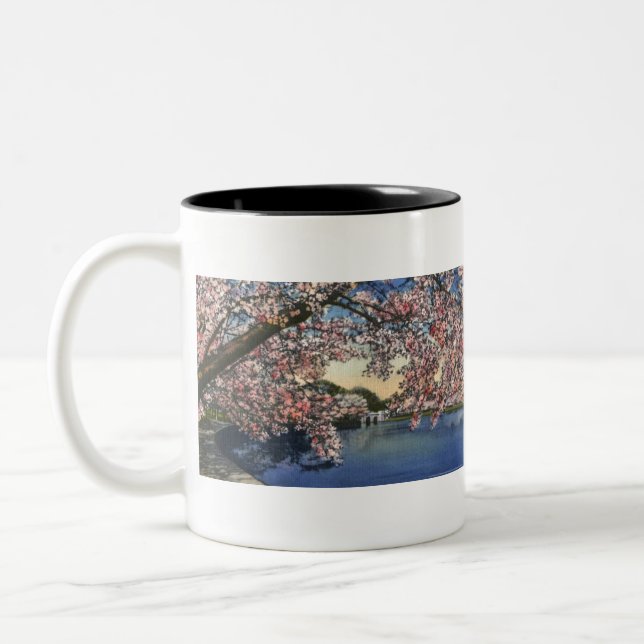 PAU43 Tidal Basin.tif Two-Tone Coffee Mug (Left)