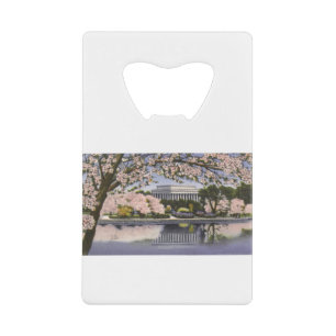 PAU44 Lincoln Memorial.tif