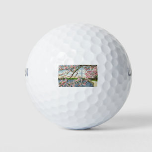 PAU45 Washington Monument 2.tif Golf Balls
