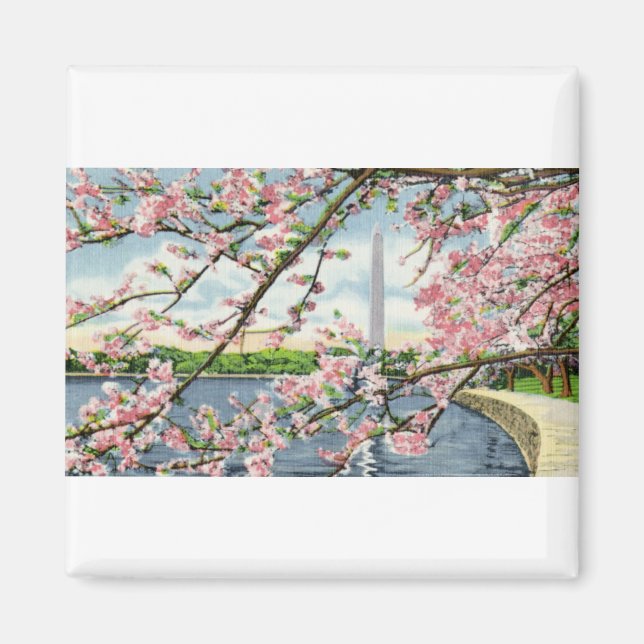 PAU45 Washington Monument 2.tif Magnet (Front)