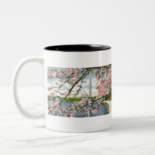 PAU45 Washington Monument 2.tif Two-Tone Coffee Mug