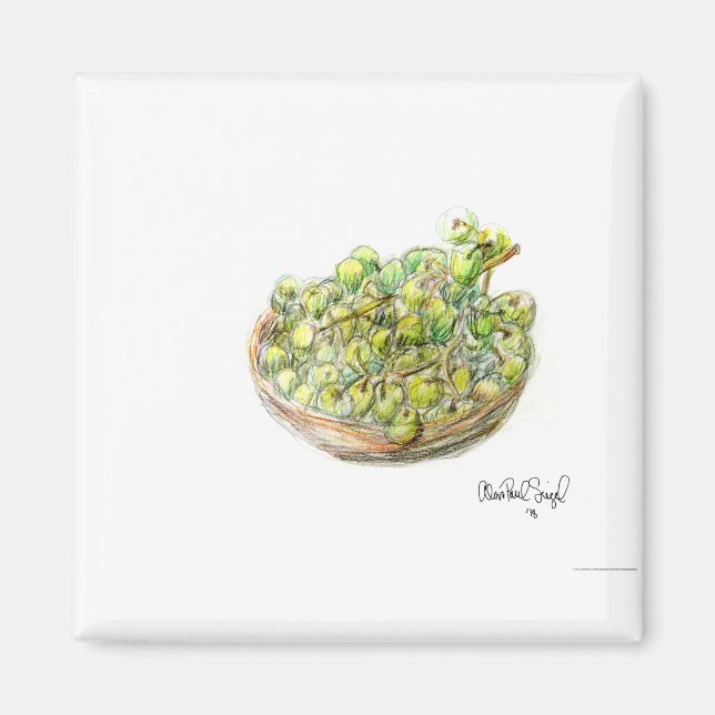 PAU55 Fruit 2.tif Magnet (Front)