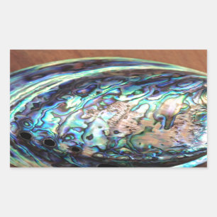 Paua abalone blue and green shellfish detail rectangular sticker
