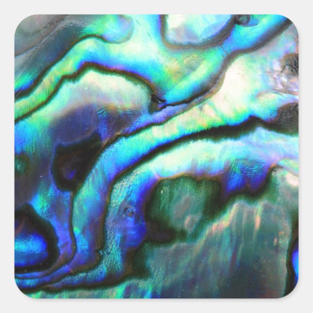 Paua abalone detail square sticker (Front)