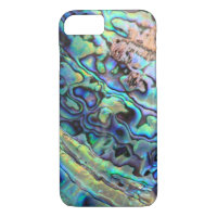 Paua abalone shell detail