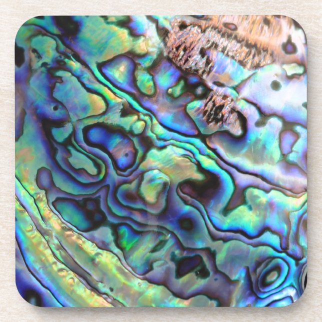 Paua abalone shell detail coaster (Front)