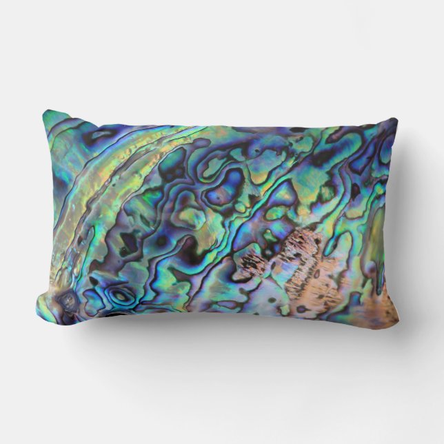 Paua abalone shell pillow (Front)