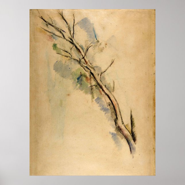 Paul Cezanne Studies of a Tree Poster (Front)
