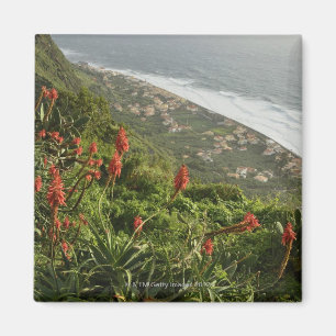 Paul do Mar, Calheta, Madeira, Portugal Magnet
