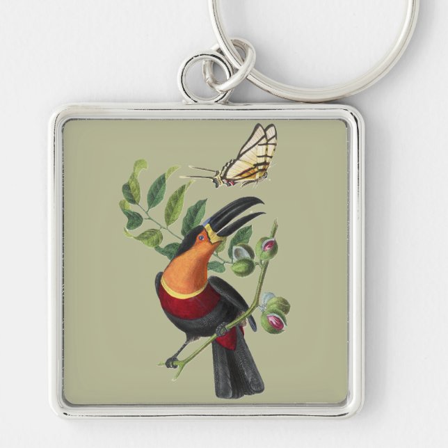 Paul Gervais Channel Billed Toucan Bird Key Ring (Front)
