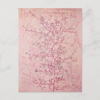 Paul Klee - Pink Spring in Deep Winter Postcard