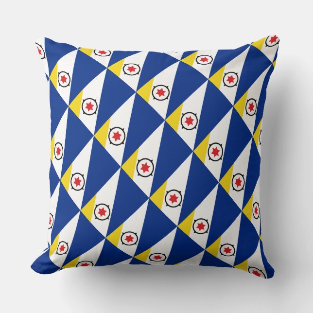 Paul McGehee "Bonaire Flag" Pillow (Front)