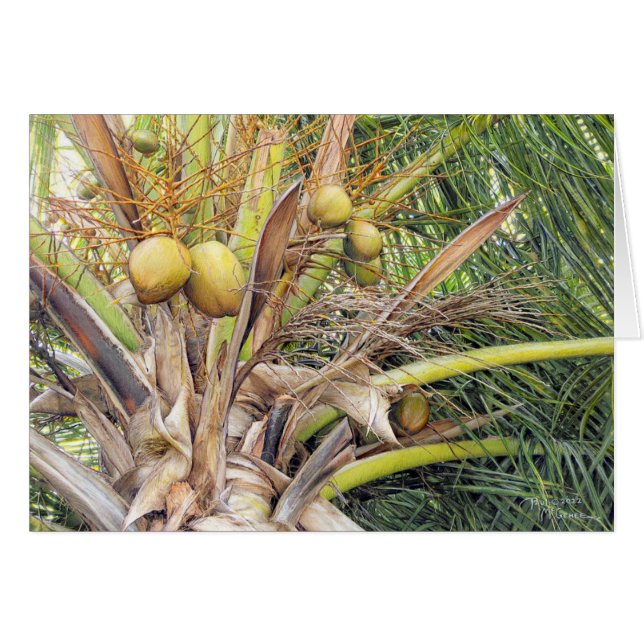 Paul McGehee "Coconuts" Card (Front Horizontal)