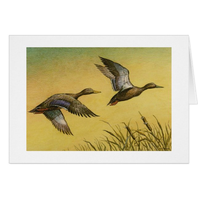 Paul McGehee "Whistling Wings" Card (Front Horizontal)