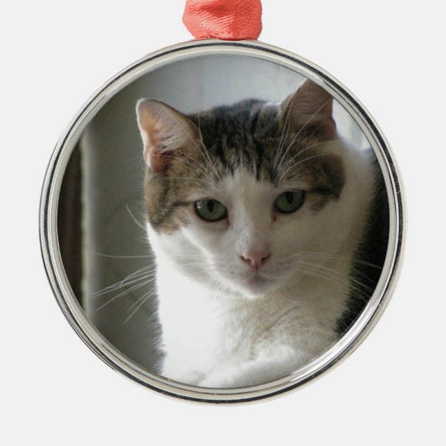 Paul Metal Ornament (Front)