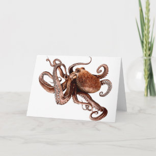Paul The Octopus Card