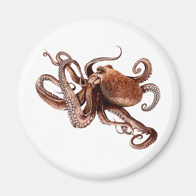 Paul The Octopus Magnet (Front)