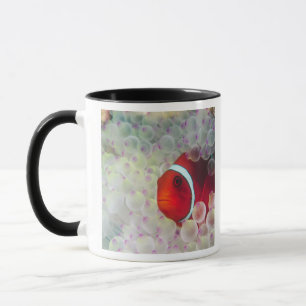 Paupau New Guinea, Great Barrier Reef, Mug
