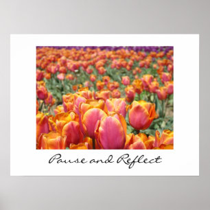 Pause and Reflect art prints Colourful Tulip