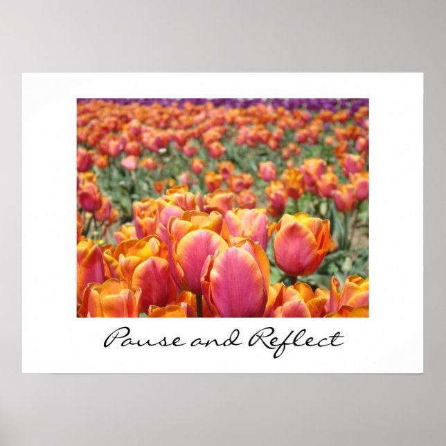 Pause and Reflect art prints Colourful Tulip (Front)