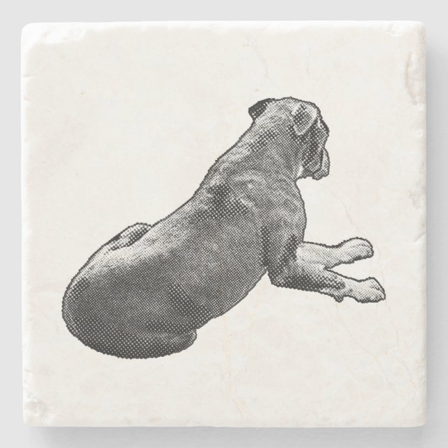 Pause Beside A Gaze Stone Coaster (Front)