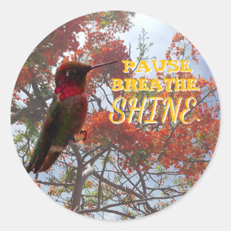 PAUSE. BREATHE. SHINE. Hummingbird Classic Round Sticker