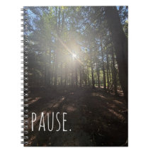 Pause Sunlit Forest Trail Notebook