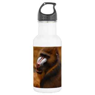 Pavian/Baboon 532 Ml Water Bottle