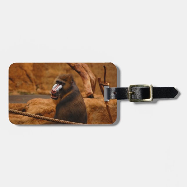 Pavian/Baboon Luggage Tag (Front Horizontal)